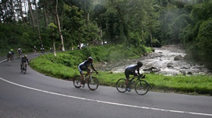 (ref: audaxeastjava.com)