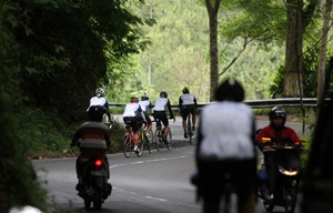 (ref: audaxeastjava.com)